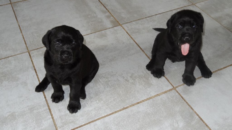 NOS BEBES A 1 MOIS