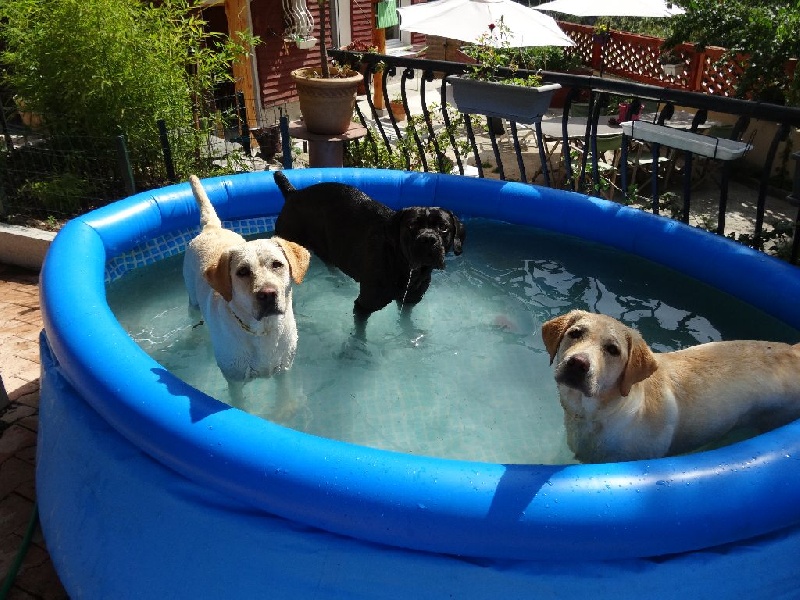JOURNEE PISCINE 