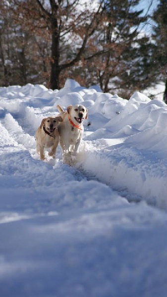 JOURNEE A LA NEIGE 
